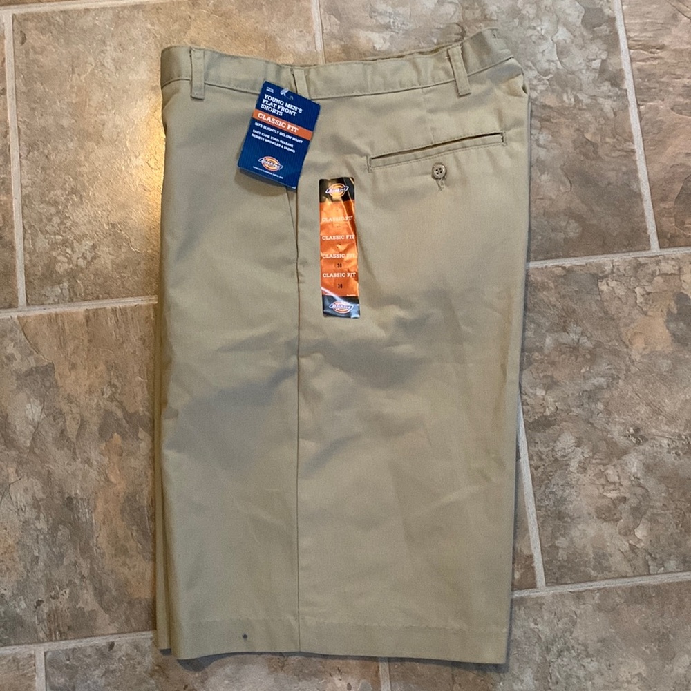 Dickies Shorts